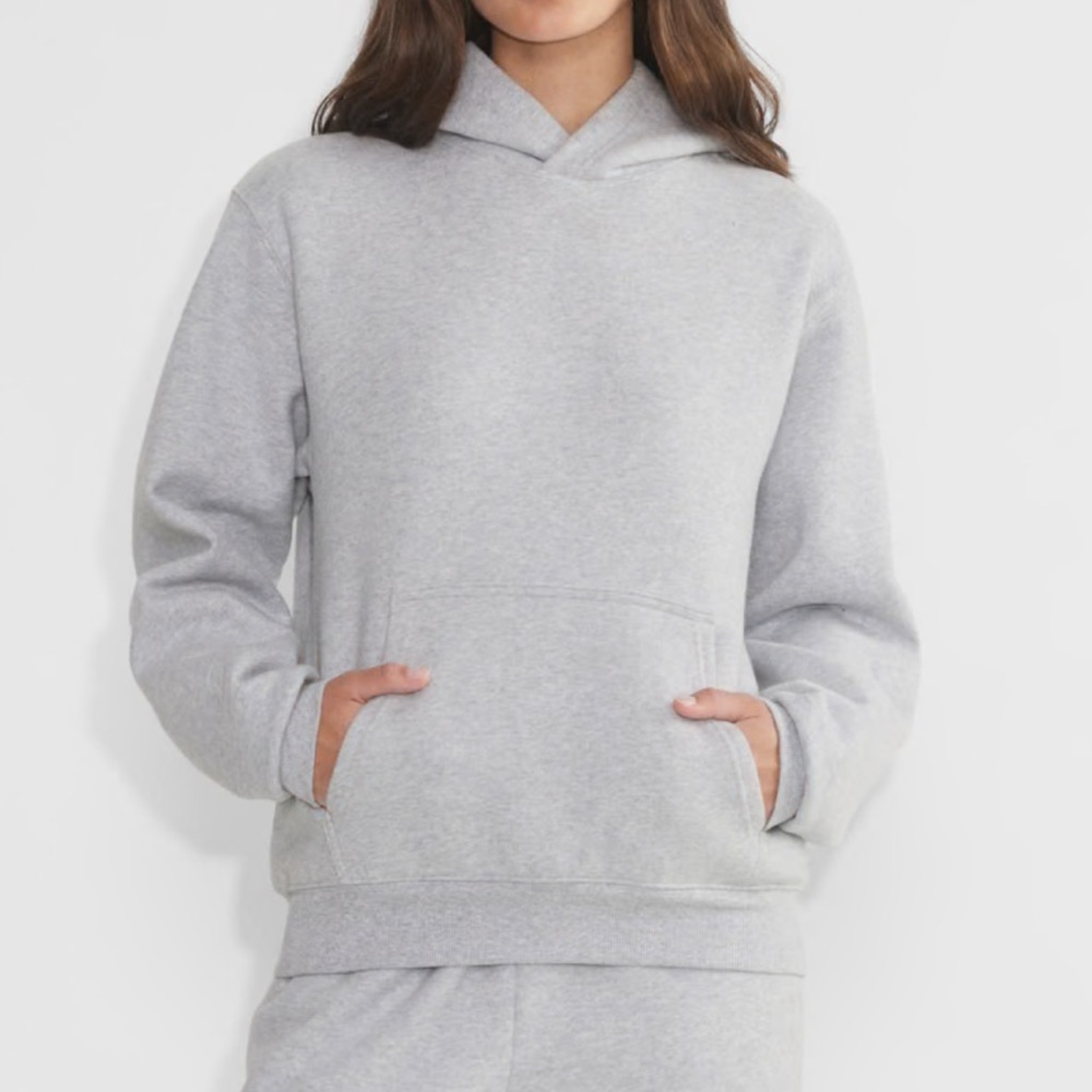 Aritzia Light Gray Pullover Hoodie